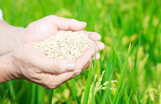 世界糧食日 | 光盤行動，從我做起！